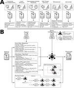 Evaluating Open-Weight Large Language Models for Structured Data Extraction from Narrative Medical Reports Across Multiple Use Cases and Languages