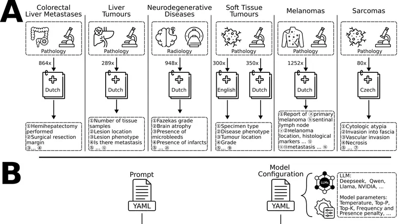 Evaluating Open-Weight Large Language Models for Structured Data Extraction from Narrative Medical Reports Across Multiple Use Cases and Languages